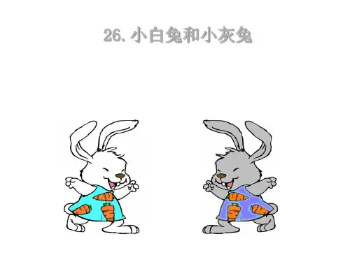 《小白兔和小灰兔》PPT课件四