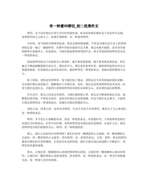有一种爱叫唠叨_初二优秀作文