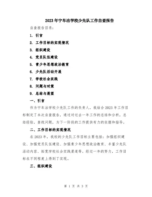 2023年宁车沽学校少先队工作自查报告