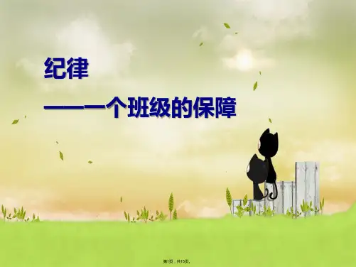有关纪律的班会课件(共15张PPT)