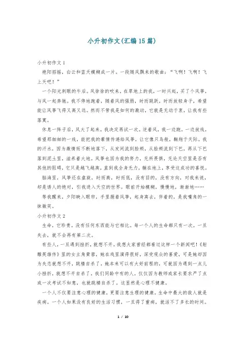 小升初作文(汇编15篇)