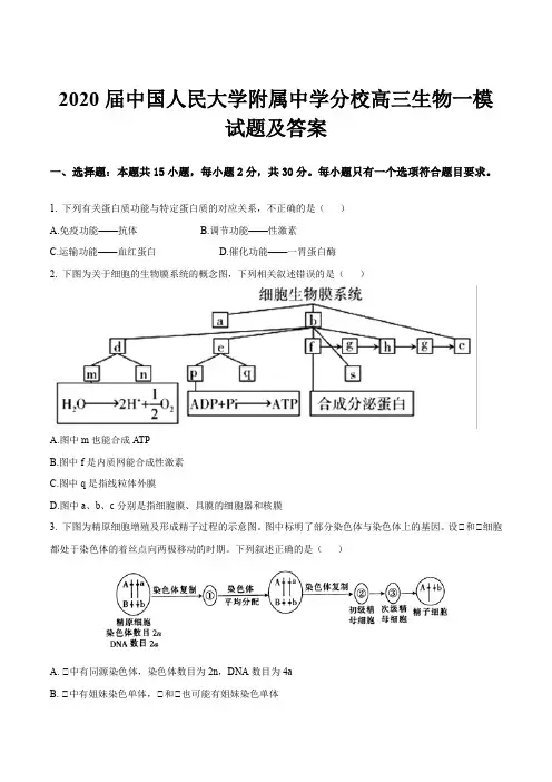 2020届中国人民大学附属中学分校高三生物一模试题及答案