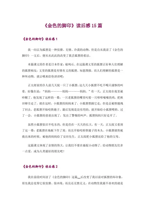 《金色的脚印》读后感15篇_1