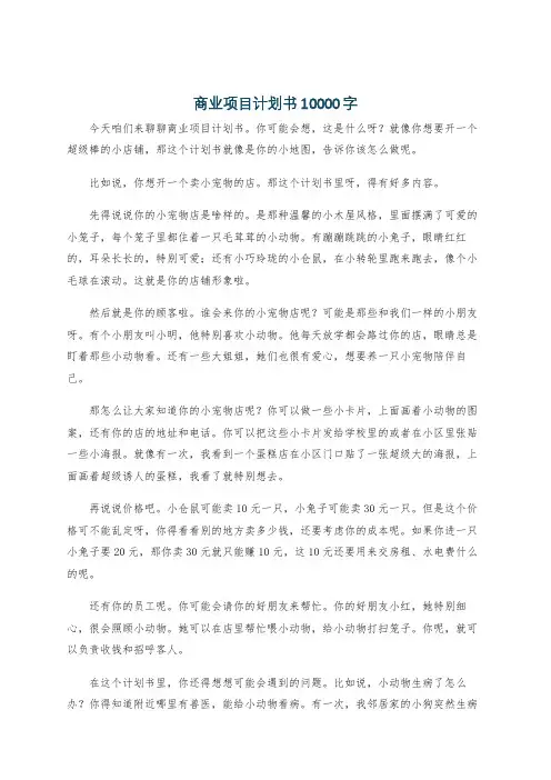 商业项目计划书10000字