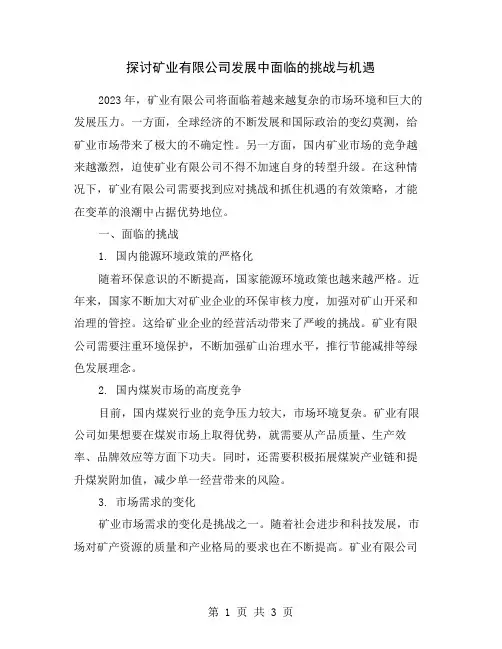 探讨矿业有限公司发展中面临的挑战与机遇