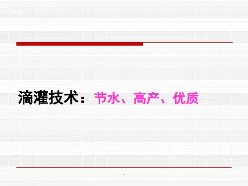 滴灌技术讲座PPT优质课件