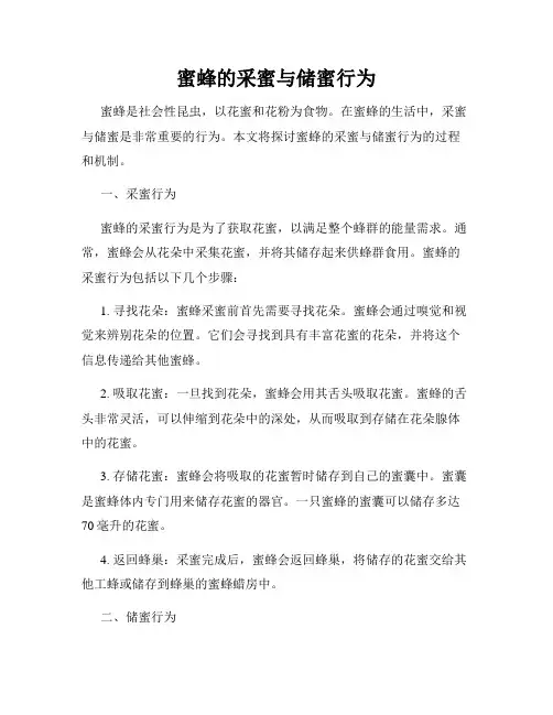 蜜蜂的采蜜与储蜜行为