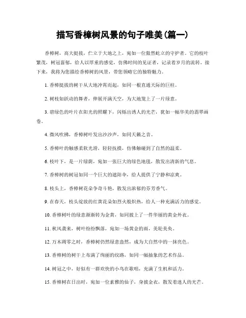 描写香樟树风景的句子唯美(精选合集2篇)