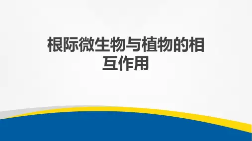 根际微生物与植物的相互作用