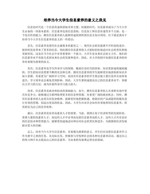 培养当今大学生信息素养的意义之我见