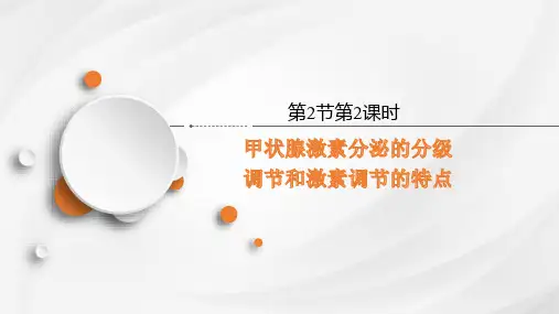 甲状腺激素的分级调节和激素调节的特点(共24张PPT)
