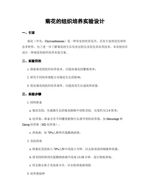菊花的组织培养实验设计 (2)