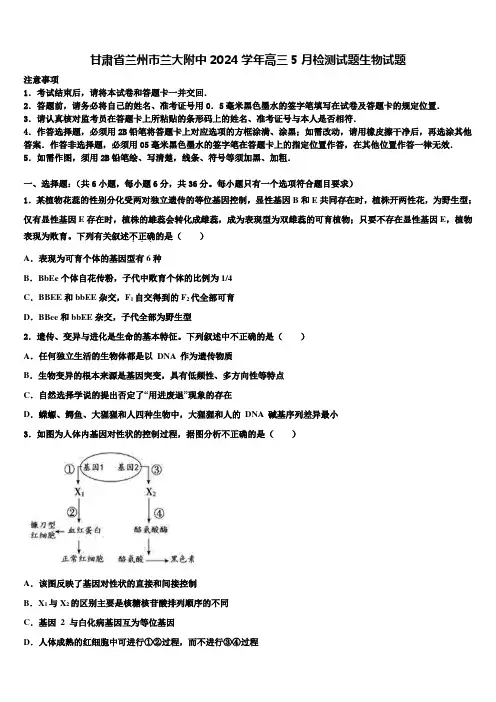 甘肃省兰州市兰大附中2024学年高三5月检测试题生物试题含解析