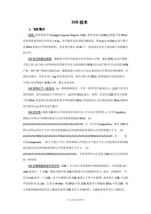 SSR技术原理-方法及步骤