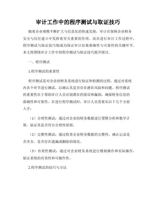 审计工作中的程序测试与取证技巧