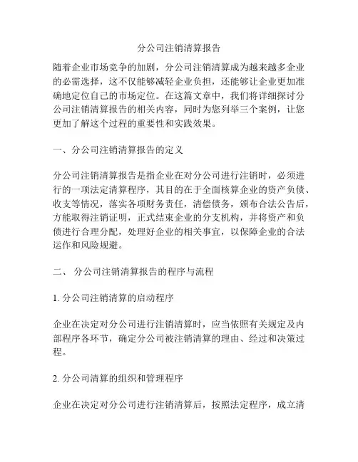 分公司注销清算报告