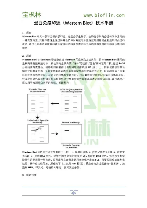 蛋白免疫印迹(Western Blot)技术手册