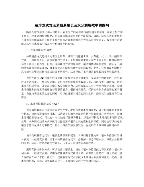栽培方式对玉米根系生长及水分利用效率的影响