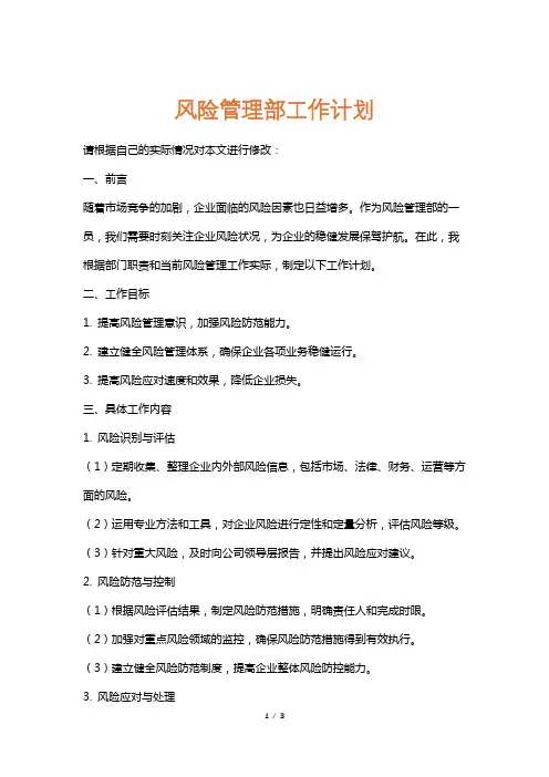 风险管理部工作计划