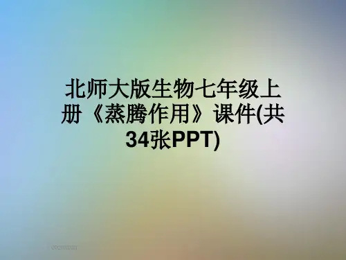 北师大版生物七年级上册《蒸腾作用》课件(共34张PPT)