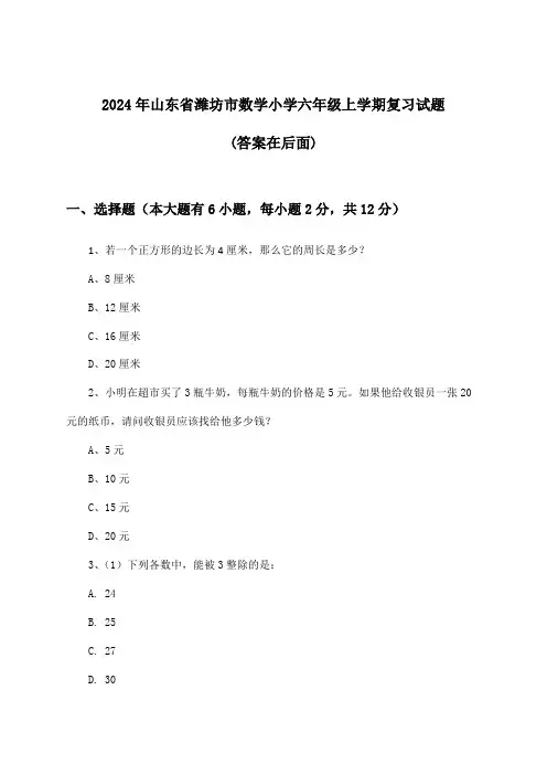 2024年山东省潍坊市小学六年级上学期数学试题与参考答案