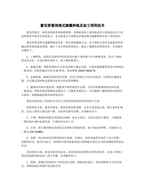 紫花苜蓿浅埋式滴灌种植及加工利用技术