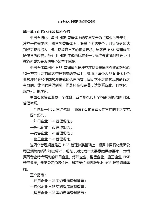 中石化HSE标准介绍