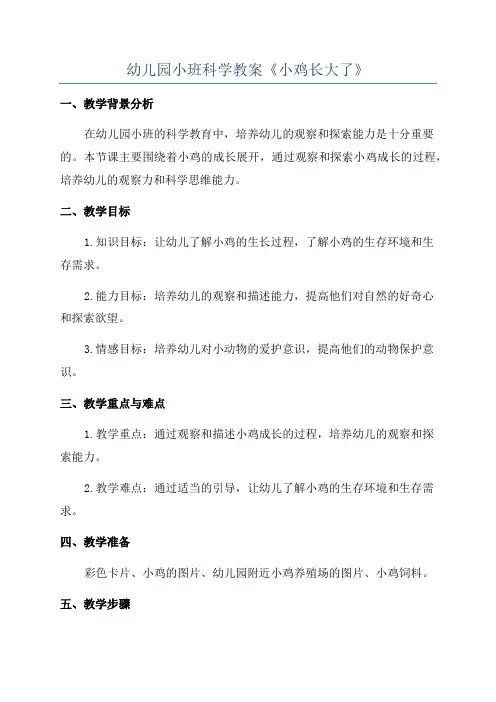 幼儿园小班科学教案《小鸡长大了》