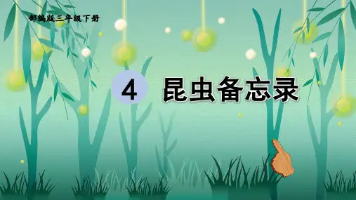 4.《昆虫备忘录》课件(共11张PPT)