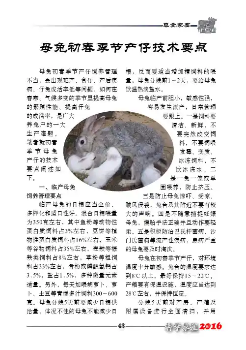 母兔初春季节产仔技术要点