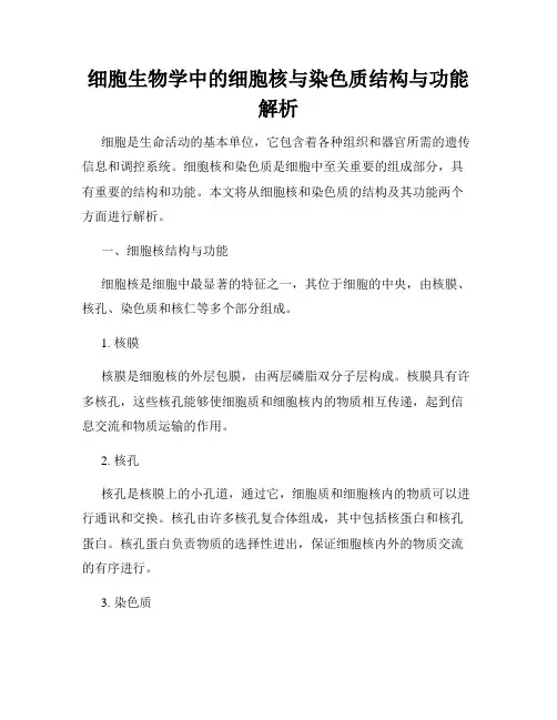 细胞生物学中的细胞核与染色质结构与功能解析