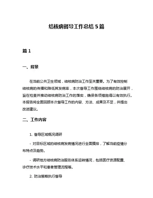 结核病督导工作总结5篇