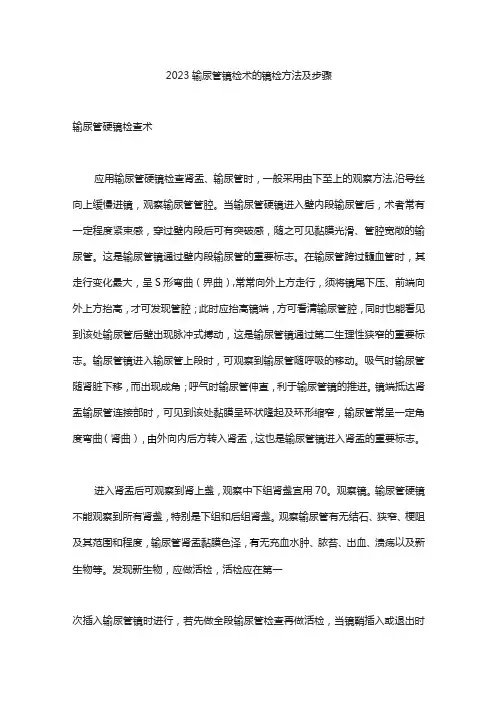2023输尿管镜检术的镜检方法及步骤