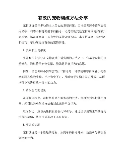 有效的宠物训练方法分享