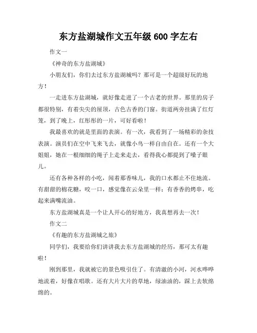 东方盐湖城作文五年级600字左右