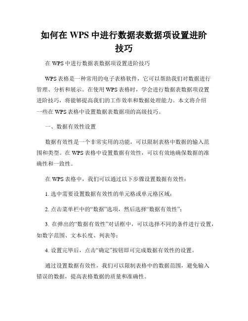 如何在WPS中进行数据表数据项设置进阶技巧