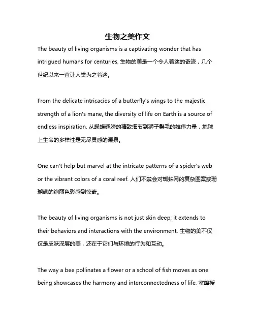 生物之美作文