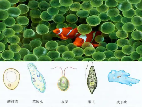 语文版七年级上册语文 19《基因畅想》(共48张PPT)