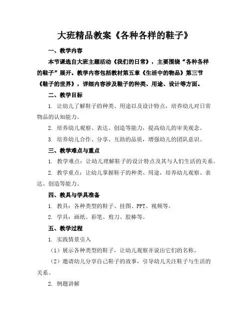 大班精品教案《各种各样的鞋子》