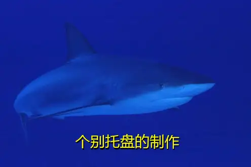 个别托盘的制作(精)