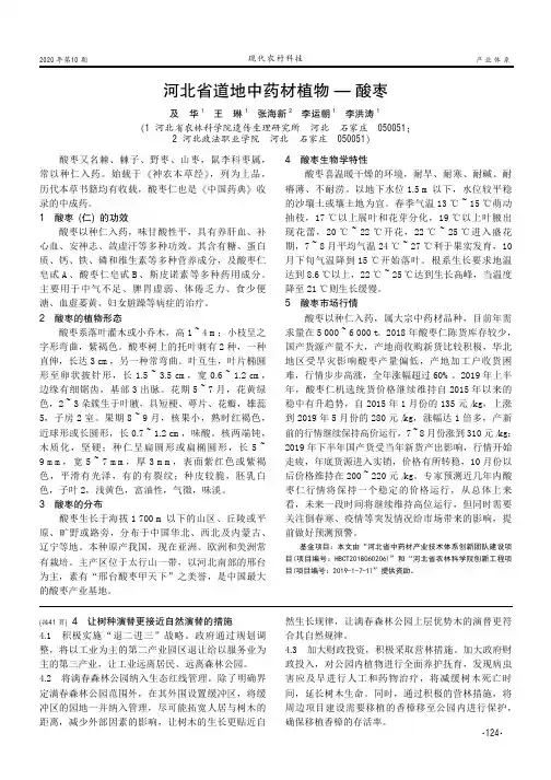 河北省道地中药材植物——酸枣