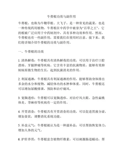 牛蒡根功效与副作用