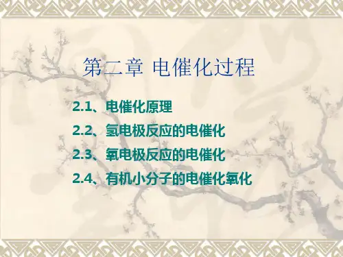 第二章电催化教程