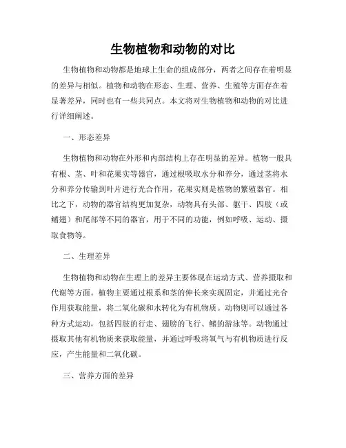生物植物和动物的对比