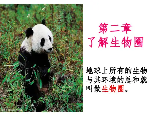 七年级生物上册-第二章-第一节-生物与环境的关系精-新人教版ppt课件