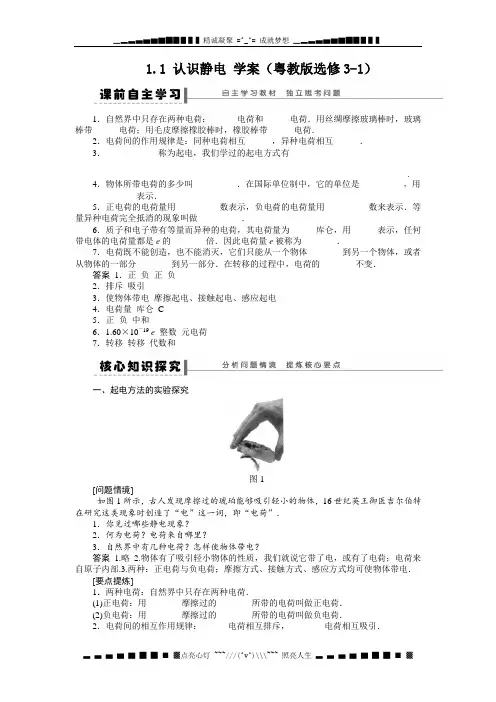 高二物理 1.1 认识静电 学案(粤教版选修3-1)