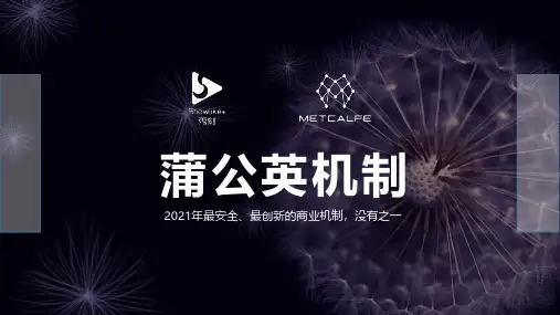 数字货币蒲公英(MTC)制度详解