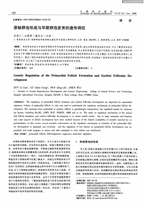 原始卵泡形成与早期卵泡发育的遗传调控