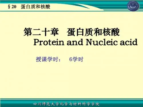 蛋白质和核酸  大学有机化学