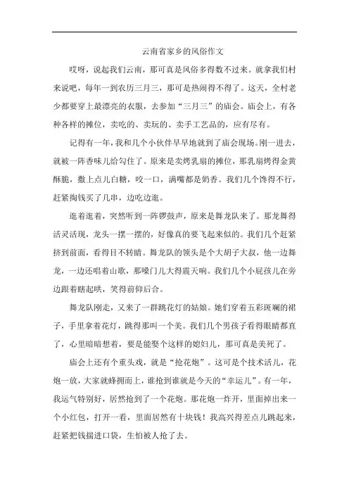 云南省家乡的风俗作文